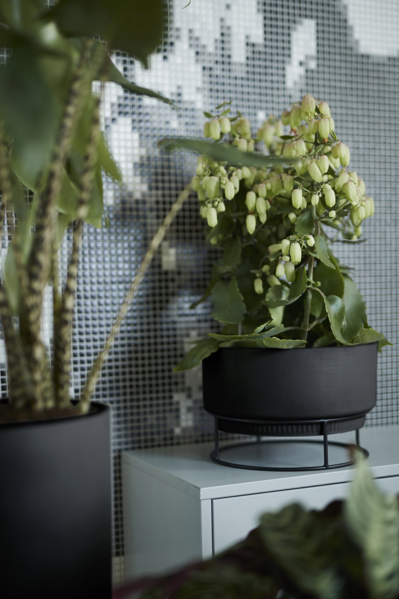 elho b.for studio Låg Kruka 30 cm - svart