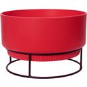 elho b.for studio Pot 30cm - Brilliant Red