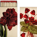 Sköna Ting Fiammiferi - Amaryllis - 1 pz.