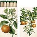 Sköna Ting Boîte d'Allumettes 