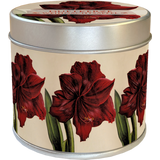 Sköna Ting Candela Profumata - Amaryllis