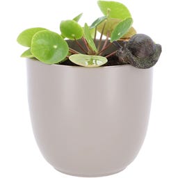 Esschert Design Decorazione per Vaso - Lumaca