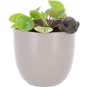 Esschert Design Decorazione per Vaso - Lumaca