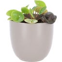 Esschert Design Bloempothanger Slak