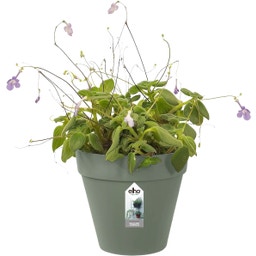 elho Green Wall Single LOFT URBAN - 15 cm - vert pistache