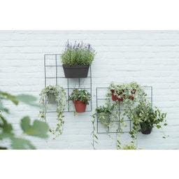 elho Green Wall Single LOFT URBAN - 15 cm - vert pistache