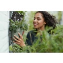elho Green Wall Single LOFT URBAN - 15 cm - vert pistache