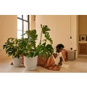 elho amber grail 47 cm - Linen White