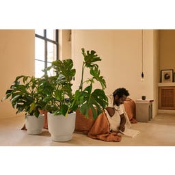 elho amber grail 47 cm - Linen White