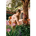 elho Hôtel pour Insectes Cosy 18 cm - rouge toscane