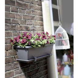 elho barcelona Balcony Box 40cm - Anthracite