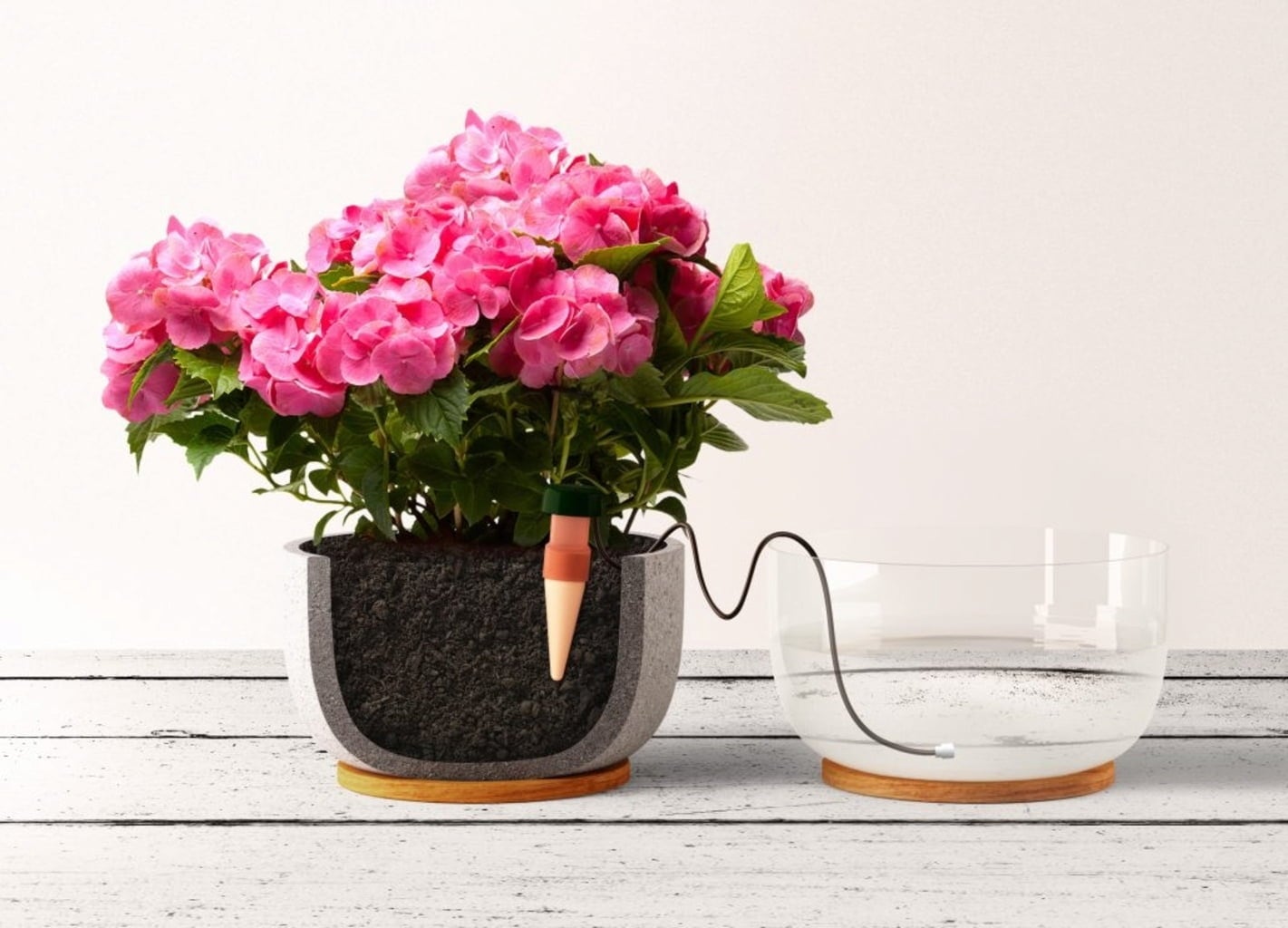 Blumat for Houseplants in a Set - 3 Pieces