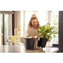 Set All-in-1 Pot Brussel Rond 25 cm avec Système d’Irrigation - Anthracite