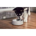 Denk Keramik Granicium® Voerbak voor Honden - S