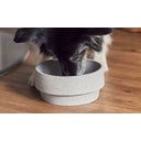 Denk Ceramic Granicium® Dog Food Bowl - L