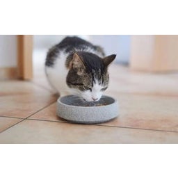 Denk Ceramic Granicium® Cat Food Bowl