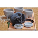 Denk Ceramic Anti-Gulping Insert for Cat Bowl