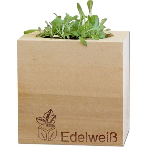 Feel Green ecocube “Edelweiss