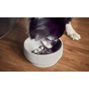 Denk Ceramic Anti-Gulping iInssert for Dog Bowl - L