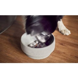 Denk Ceramic Anti-Gulping iInssert for Dog Bowl - L