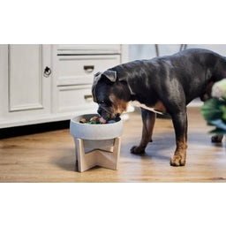 Denk Ceramic Wooden Stand for Dog Bowl M & L