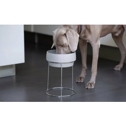 Stainless Steel Stand for Dog Bowls M & L
