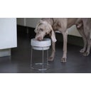 Stainless Steel Stand for Dog Bowls M & L