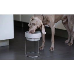 Stainless Steel Stand for Dog Bowls M & L