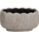 Garden Trading Pot de Fleurs « Scallop » Oval - 1 pcs