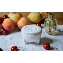 Denk Ceramic Fruit Fly Live Trap