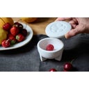 Denk Ceramic Fruit Fly Live Trap