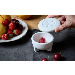 Denk Ceramic Fruit Fly Live Trap