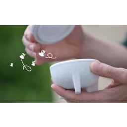 Denk Ceramic Fruit Fly Live Trap