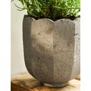 Garden Trading Pot de Fleur « Scallop » Rond - 1 pcs