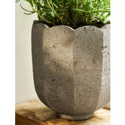 Garden Trading Pot de Fleur « Scallop » Rond - 1 pcs