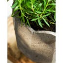 Garden Trading Pot de Fleur « Scallop » Rond - 1 pcs