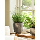 Garden Trading Pot de Fleur « Scallop » Rond - 1 pcs