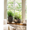 Garden Trading Pot de Fleurs « Scallop » Oval - 1 pcs