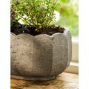 Garden Trading Pot de Fleurs « Scallop » Oval - 1 pcs