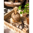 Garden Trading Distributeur de Ficelle avec Ficelle - 1 pcs