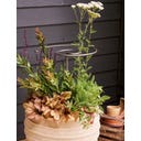 Spiralformat Växtstöd 