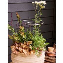 Spiralformat Växtstöd 