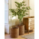 Garden Trading Cache-Pots « Brading » - Lot de 2 - 1 kit