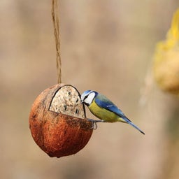 Esschert Design Birdfeed - Stuffed Coconut
