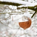 Esschert Design Birdfeed - Stuffed Coconut