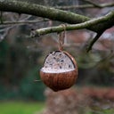 Esschert Design Birdfeed - Stuffed Coconut