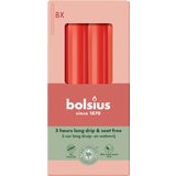 bolsius Essentials Stabkerzen (8 Stk.)