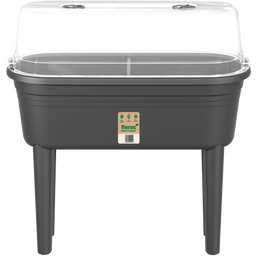 Florus Set Grow Table