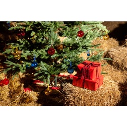 Byon Weihnachtskugeln klein - gelb