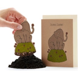 Greeting Card with Seed Plug